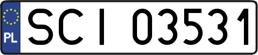 SCI03531