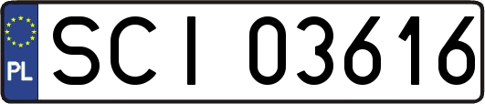 SCI03616