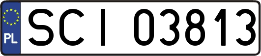 SCI03813