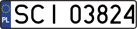 SCI03824