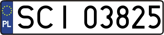 SCI03825