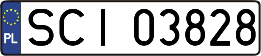 SCI03828