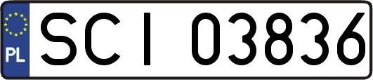 SCI03836