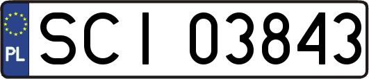 SCI03843