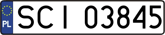 SCI03845