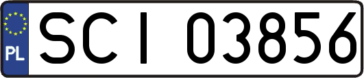 SCI03856