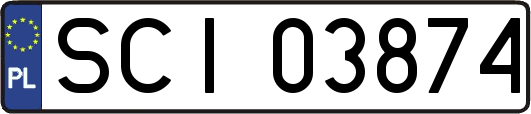 SCI03874