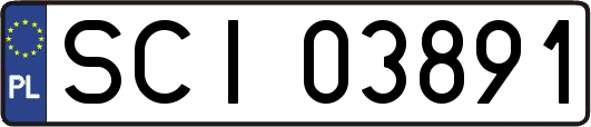 SCI03891