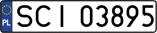SCI03895
