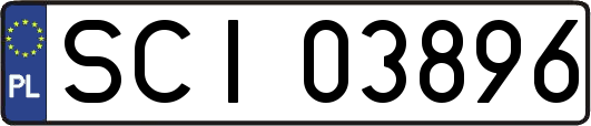 SCI03896