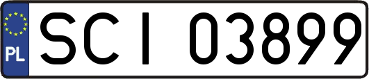 SCI03899