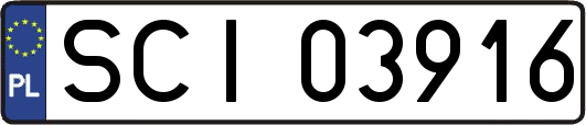 SCI03916