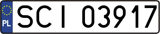 SCI03917