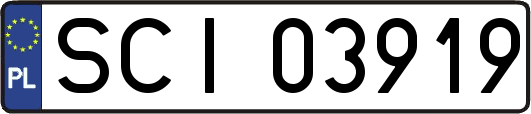 SCI03919