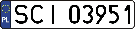 SCI03951