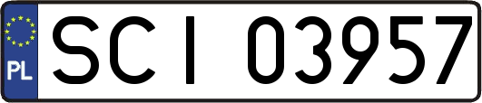 SCI03957