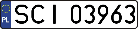 SCI03963