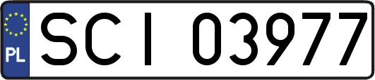 SCI03977