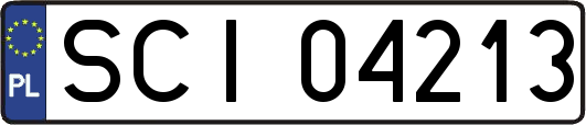 SCI04213