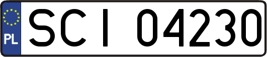 SCI04230