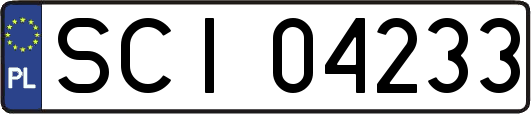 SCI04233