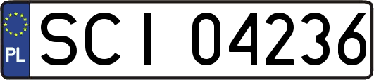 SCI04236