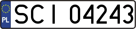SCI04243