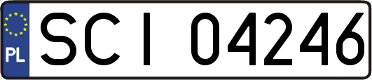 SCI04246
