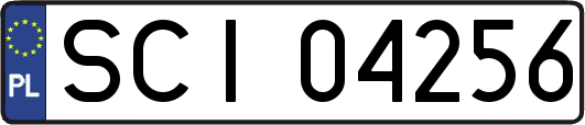 SCI04256