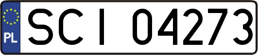 SCI04273