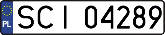 SCI04289