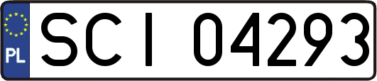 SCI04293