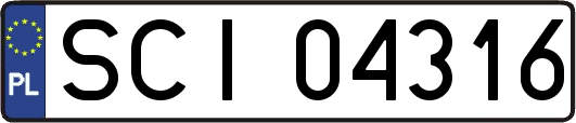SCI04316