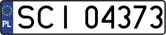 SCI04373
