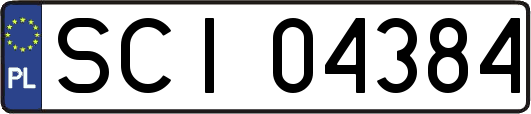 SCI04384