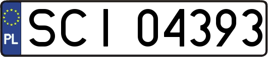 SCI04393