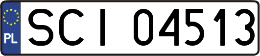SCI04513