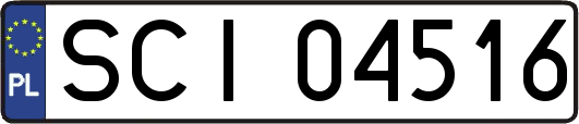 SCI04516