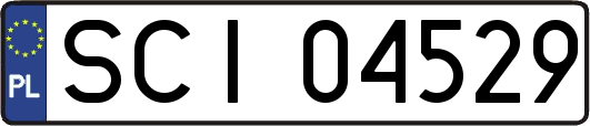 SCI04529