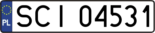 SCI04531