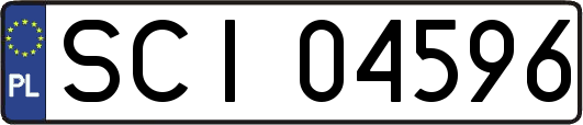 SCI04596