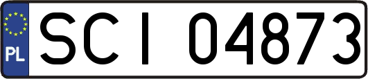 SCI04873