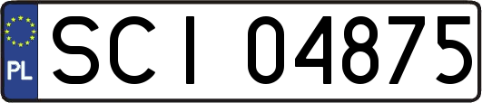 SCI04875