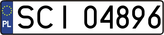 SCI04896