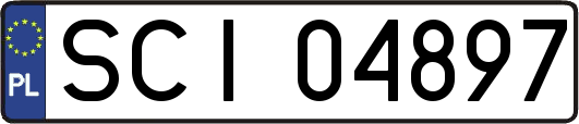 SCI04897