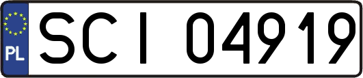 SCI04919