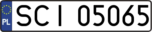SCI05065