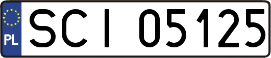 SCI05125