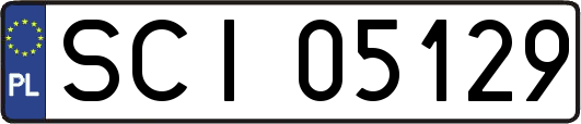 SCI05129
