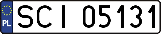 SCI05131